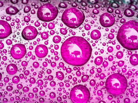 On a leathery purple surface, a collection of waterdrops of different sizes. The drops have the same reflection of what appears to be the camera that took the photo