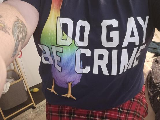 A closer look at the navy tshirt with a giant rainbow goose on it. The shirt says:
DO GAY
BE CRIME