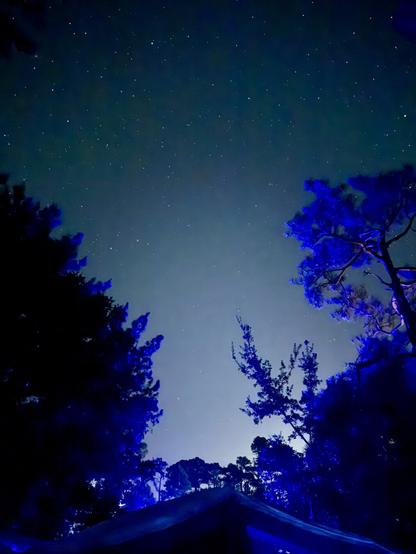 Night sky, starfield, silhouetted by trees with purple upglow.