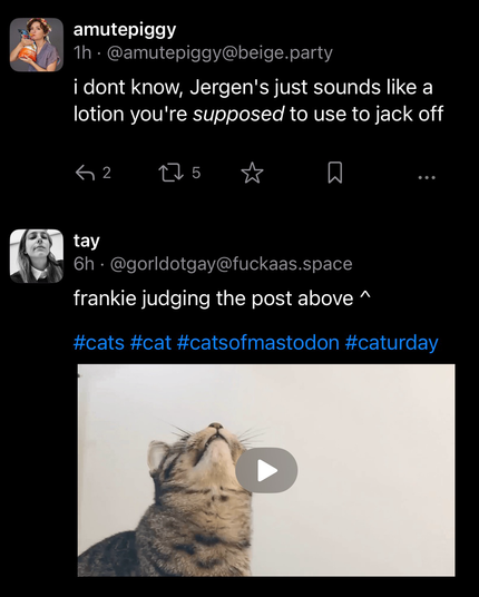 A picture of Frankie the cat judging the post above which says “i dont know, Jergen's just sounds like a lotion you're supposed to use to jack off”