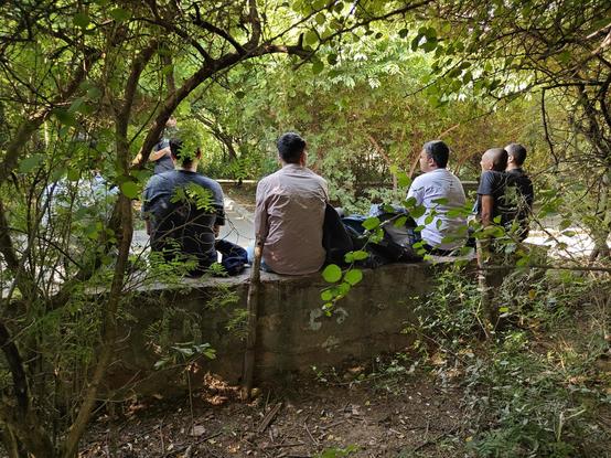 Six people seen from the back, sitting on a stone bench. The picture is framed with the branches of the trees amidst which it was taken.