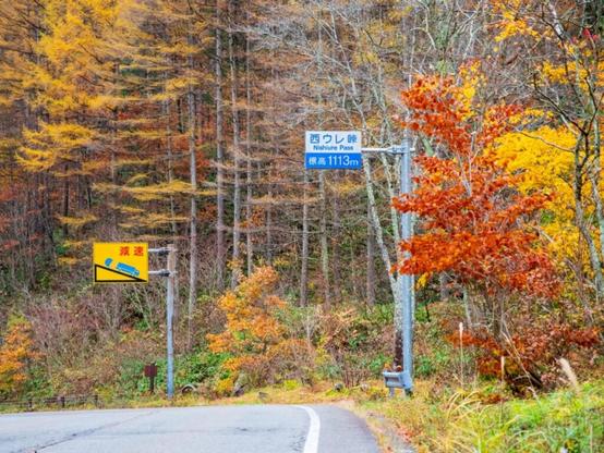 好き＆行ってみたい「岐阜県の紅葉スポット」ランキング！ 2位「飛騨美濃せせらぎ街道」、1位は？ - All About ニュース
