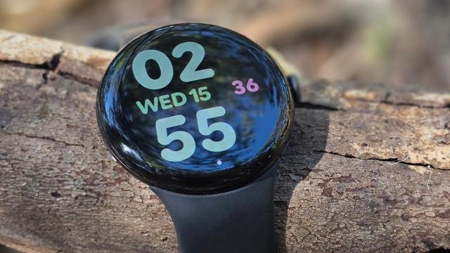 Google Pixel Watch 4, resting on a log. They're not designed specifically to go on logs, but it fits, so...