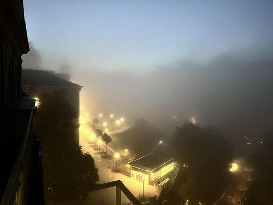 Blick aus dem Bürofenster auf die Bundesterrasse im Morgennebel