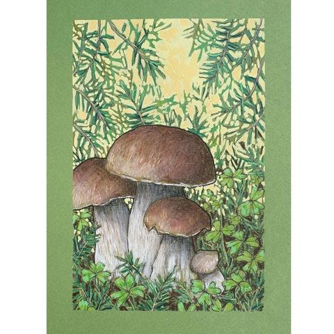 Description
A small drawing of a group of penny bun mushrooms with clover and evergreen foliage in the undergrowth. There is a yellow and green bright background. The drawing is on green pastel paper.
An original art work, please note that the frame is not included.
Colour pencil and mixed media on acid free toned artist paper
5 by 7 inches (12.7 by 17.8 cm).