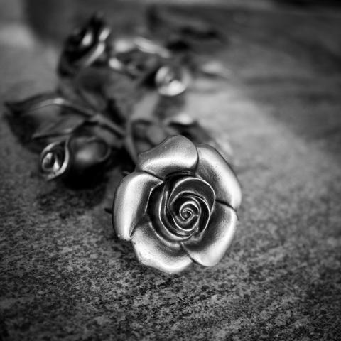 Eine Rose aus Metall, die auf einem Grabstein liegt. Das Foto ist in Schwarzweiß.