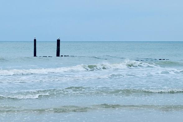 Sanfte Wellen rollen an den Strand, während im Hintergrund zwei alte Holzpfähle aus dem Wasser ragen. Auf ihnen sitzen Möwen, die ruhig aufs Meer blicken. Der Himmel ist leicht bedeckt, das Licht weich und kühl – ein stiller Moment an der Küste.