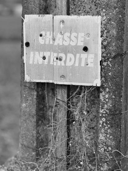 Close-up of a 'No Hunting' sign. (Version françæ) Grox plan sur æn panneau 'Chasse interdix'.