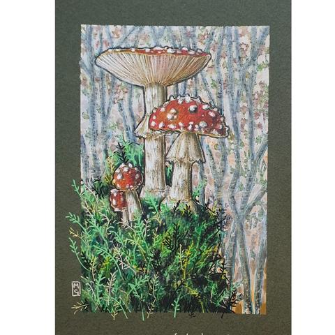 Full description: 
A small colour drawing of red and white fly agaric mushrooms on a mound of earth covered in mosses deep in the forest.
Fly agaric is native to the UK. It grows in woodland and heathland on light soils among birch, pine or spruce.
An original art work, please note that the frame is not included.
Colour pencil and mixed media on acid free toned artist paper
5 by 7 inches (12.7 by 17.8 cm).