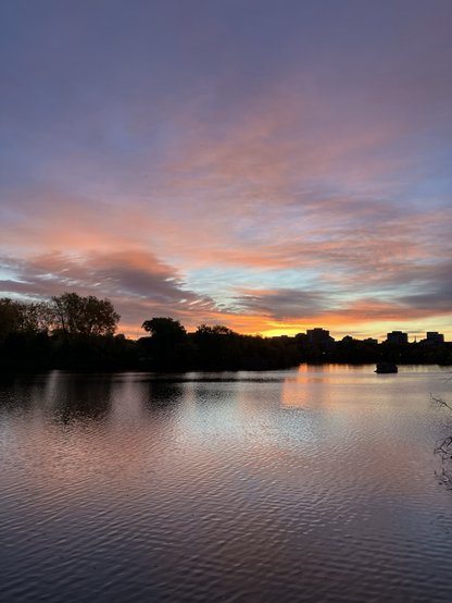 The clouds reflect oranges and pinks creating purples and greys with the blue sky behind . The city skyline of trees and buildings are black mid frame . The colours reflect on the rippling river.