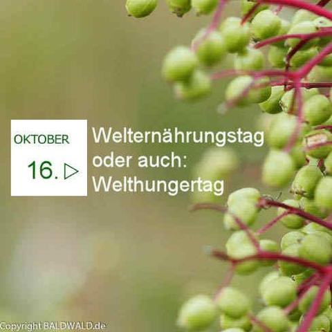 welthungertag