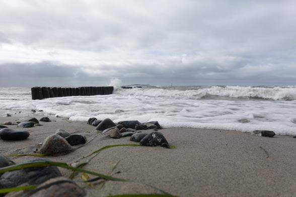 Algen und kleine, runde Steine im Vordergrund, schaumige Wellen kommen flach angerollt