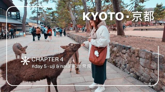 TRAVEL VLOG - KYOTO, JAPAN | AUTUMN 2024 | CHAPTER 4 ~ Day 5 @ Uni & Nara 宇治 奈良