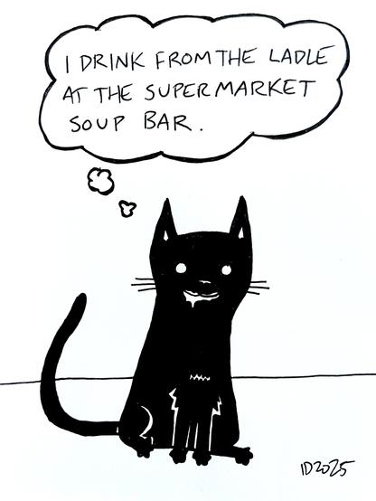 a black cat with a little soup around its mouth sits and thinks "i drink from the ladle at the supermarket soup bar."