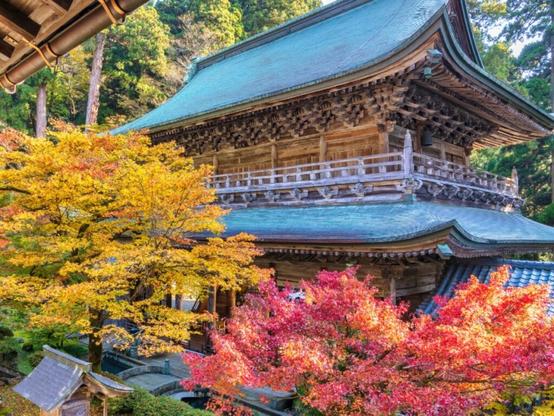 好き＆行ってみたい「福井県の紅葉スポット」ランキング！ 2位「永平寺」、1位は？ 【2025年調査】 - All About ニュース