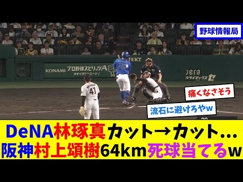 DeNA林琢真カット→カット...阪神村上頌樹64km死球当てるw【ネット情報局】