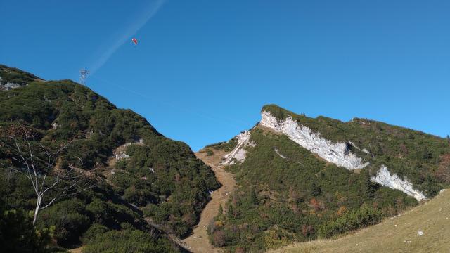 Strahlend blauer Himmel mit Gleitschirmflieger über einer bebaumten Bergspitze