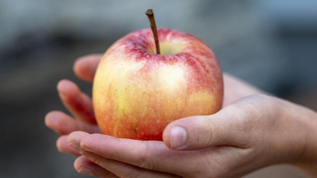 Appleのクラウドストレージに対するバックドア作成をイギリス内務省が再び命じていたことが判明 - GIGAZINE