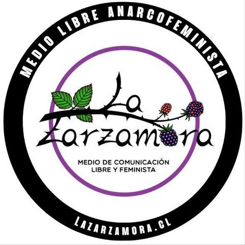 Mediolibre Anarcofeminista La Zarzamora 
Nuestro logo es una ramita de Zarzamora, sobre ella dice: La y bajo ella dice: Zarzamora. En el extremo derecho tiene tres hojitas verdes y al otro extremo tiene 3 moras. Al rededor de todo un círculo morado. 

Al final aparece nuestra página web lazarzamora.cl