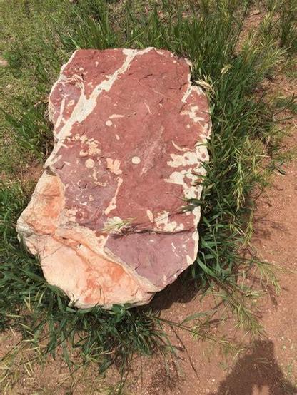 A rock that looks like an uncooked steak