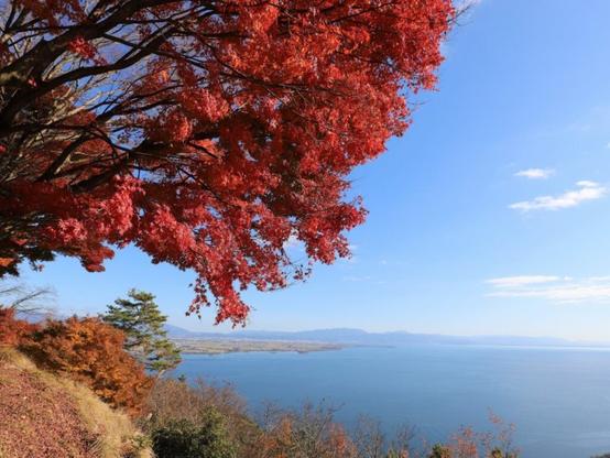 秋に行きたい「滋賀県の絶景ドライブスポット」ランキング！ 2位「奥琵琶湖パークウェイ」、1位は？【2025年調査】 - All About ニュース