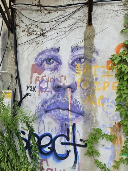 Graffiti of a man's face in purple on a grey concrete wall. "Revolt" in brown and "Native Pride" in yellow are also spray painted on the wall.