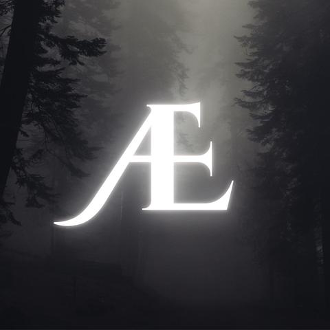 Ein Wald im Nebel. Schattenhafte Bäume, geheimnisvolle Wald-Umrisse. Leuchtende Buchstaben füllen das Bild: A und E. Das ist mein Bandlogo. Es steht für Anima Exanimata. Das ist auf Latein. Der Name bedeutet so viel wie: Die leblos gewordene Seele.
