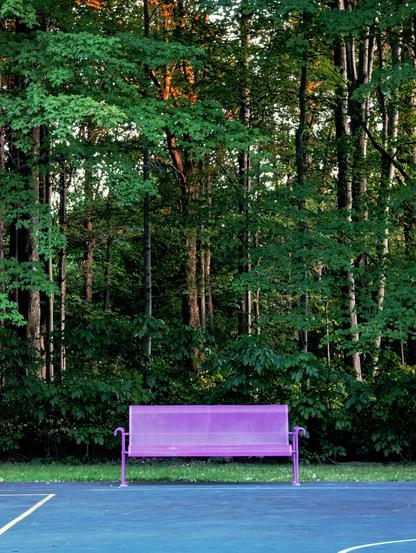A purple park bench on a basketball court, surrounded by trees