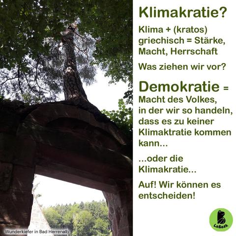 In Bad Herrenalb hat sich eine Kiefer über einem Türsturz in einer Ruine eingesetzt und wächst seit dem über mehrere zig Jahre an Ort und Stelle. Sie wird die WunderKiefer genannt.
Als Text neben dem bild:
Klimakratie?
Klima + (kratos) griechisch = Stärke, Macht, Herrschaft
Was ziehen wir vor?
Demokratie 0 Macht des Volkes, in der wir so handeln, dass es zu keiner Klimakratie kommen kann...
...oder die Klimakratie...
Auf! Wir können es entscheiden!