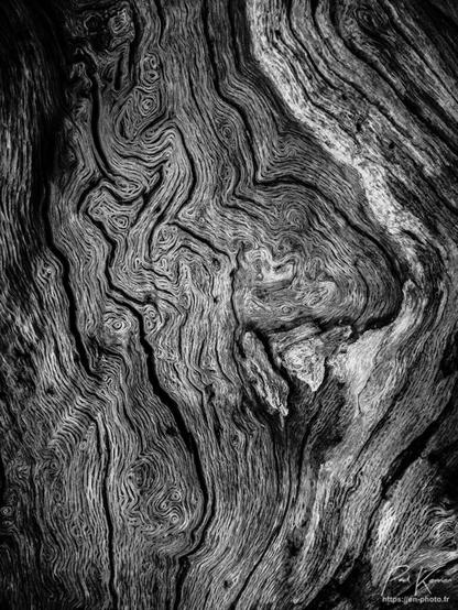 Photographie monochrome en noir et blanc, prise en proxi sur des détails d'une vieille souche d'arbre patinée par les ans sans écorce , le vent, le sable, les insectes, etc.
La surface du bois est parcourue par tout un réseau de rides, de micros canyons serpentant entre des petites collines. 
Souvent, je pense à de minuscules paysages de western vus du ciel.