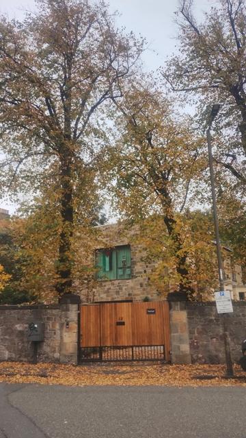 Double gate in a tall, stone wall, flanked by trees shedding their leaves all over the pavement below