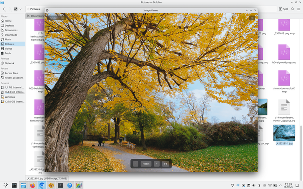 screenshot of ChromPy Viewer with an open image that show an autumnal tree in a park.