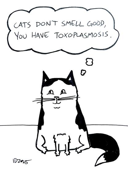 a fluffy black and white cat sits and thinks "cats don't smell good, you have toxoplasmosis."