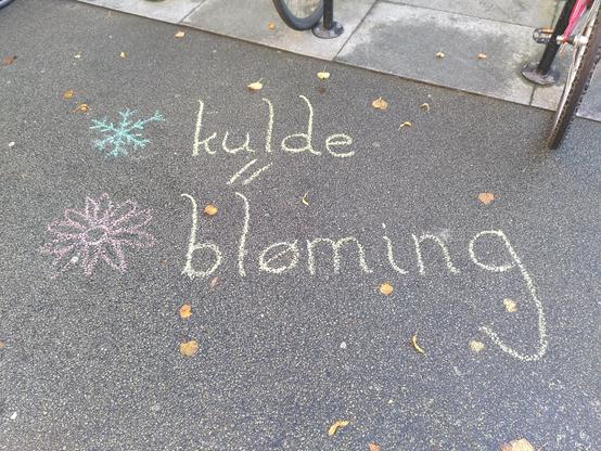 Kritt på asfalt. Teikning av snøkrystall og teksten kulde. Teikning av bloma og teksten bløming. Motstykketeikn mellom desse to.