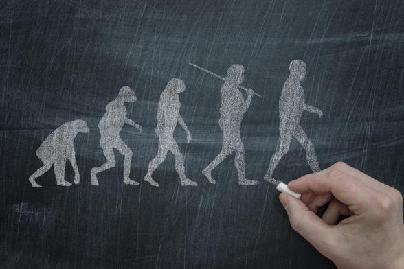 Evolución. (martinwimmer yxxys)