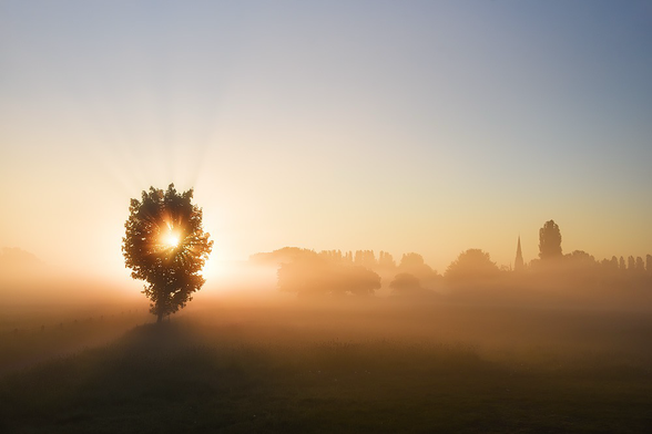 Sonnenaufgang bei dichtem Bodennebel