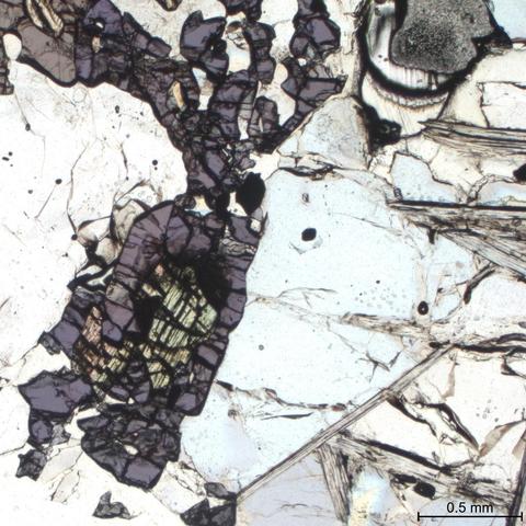 Blue yoderite ( Mg(Al,Fe3+)3(SiO4)2O(OH) ) surrounding remnant kyanite with talc and quartz. Plane polarized transmitted light.