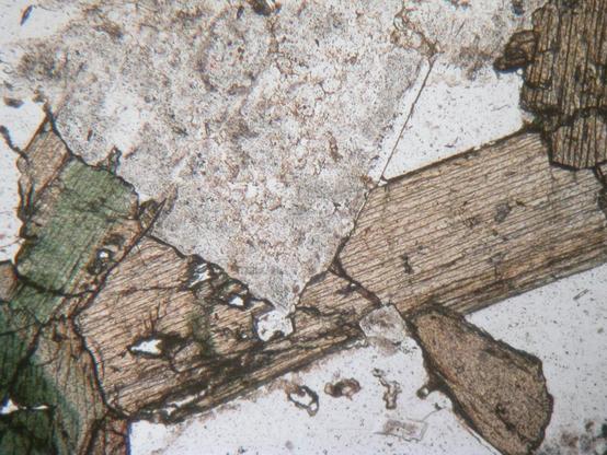 A view of a rock thin section, using plane polarized light usgin a polarizing microscope. The is a large squareish colourelss, turbid crystl at the top of the field of view. The rest of the view is occupied by pale green-to-brown crystals with cracks running along their length, and some clear colourless mineral.