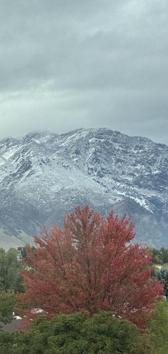 The grey mountains are cloaked in a layer of new white snow. The sky is grey. In the foreground the leaves on the trees are still green. One large tree in the centre has bright copper coloured leaves, which provide a gorgeous contrast to the overall grey of the scene.