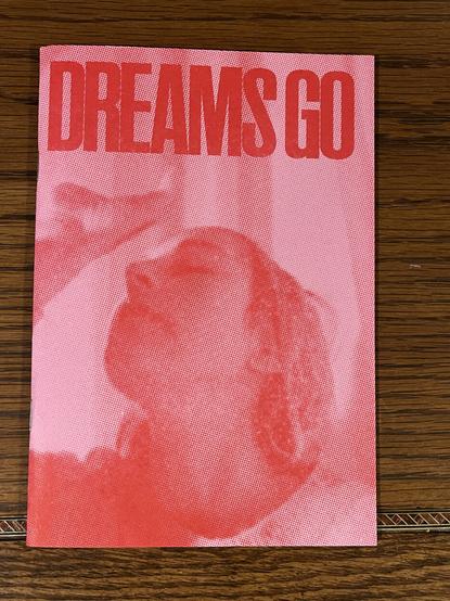 The picture of a lyric book to the album Dreams Go by Polica.  It features the album title in big block letters and a picture of the album cover, with water running down the face and neck of Channy, the lead singer.