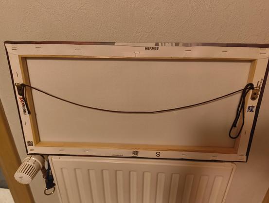 Das Bild von der Rückseite. Eine Schnur ist von links nach rechts gespannt, an welcher das Bild aufgehangen werden kann.