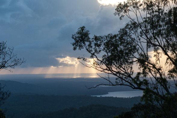 A sunrise baulked by dense low cumulus, however bright rays are still pouring through some breaks in the cloud, spotlighting the dark plain below. The landscape is dim and hazy, just contours and vague tree textures visible. A large, close tree is silhouetted on the right hand side.