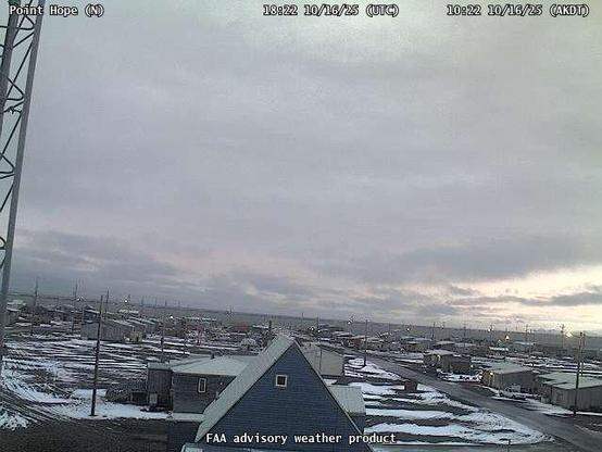 A webcam overseeing a beach with an ocean view, with a few small buildings and utility poles.