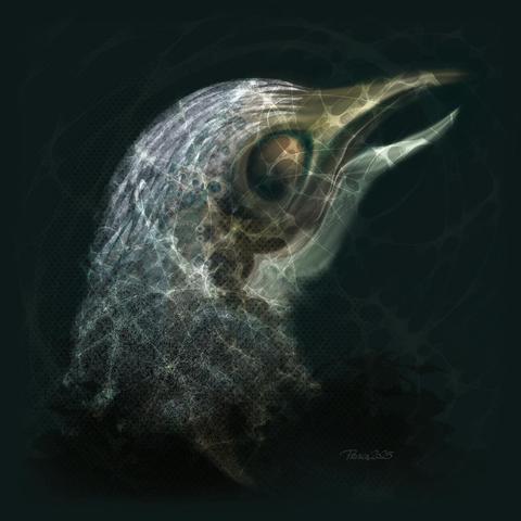 watercolour; dark muted green background with an abstract image of a bird"s head facing to the right, emerging from a turbulent surface of murky liquid, it's eye is void of life, it seems entangled  in a net, its beak loss if gasping for air.