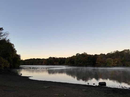 Geese and smoke on Needwood Lake.