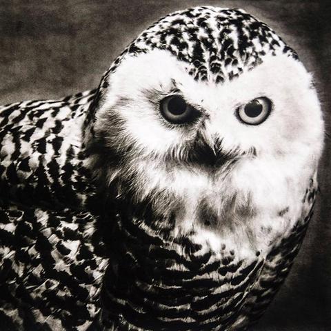 An image associated with the Instagram post https://millsfield.sfomuseum.org/id/1729359673/