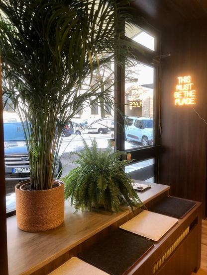 Interior scene with plants by the window and a "This Must Be The Place" neon sign.