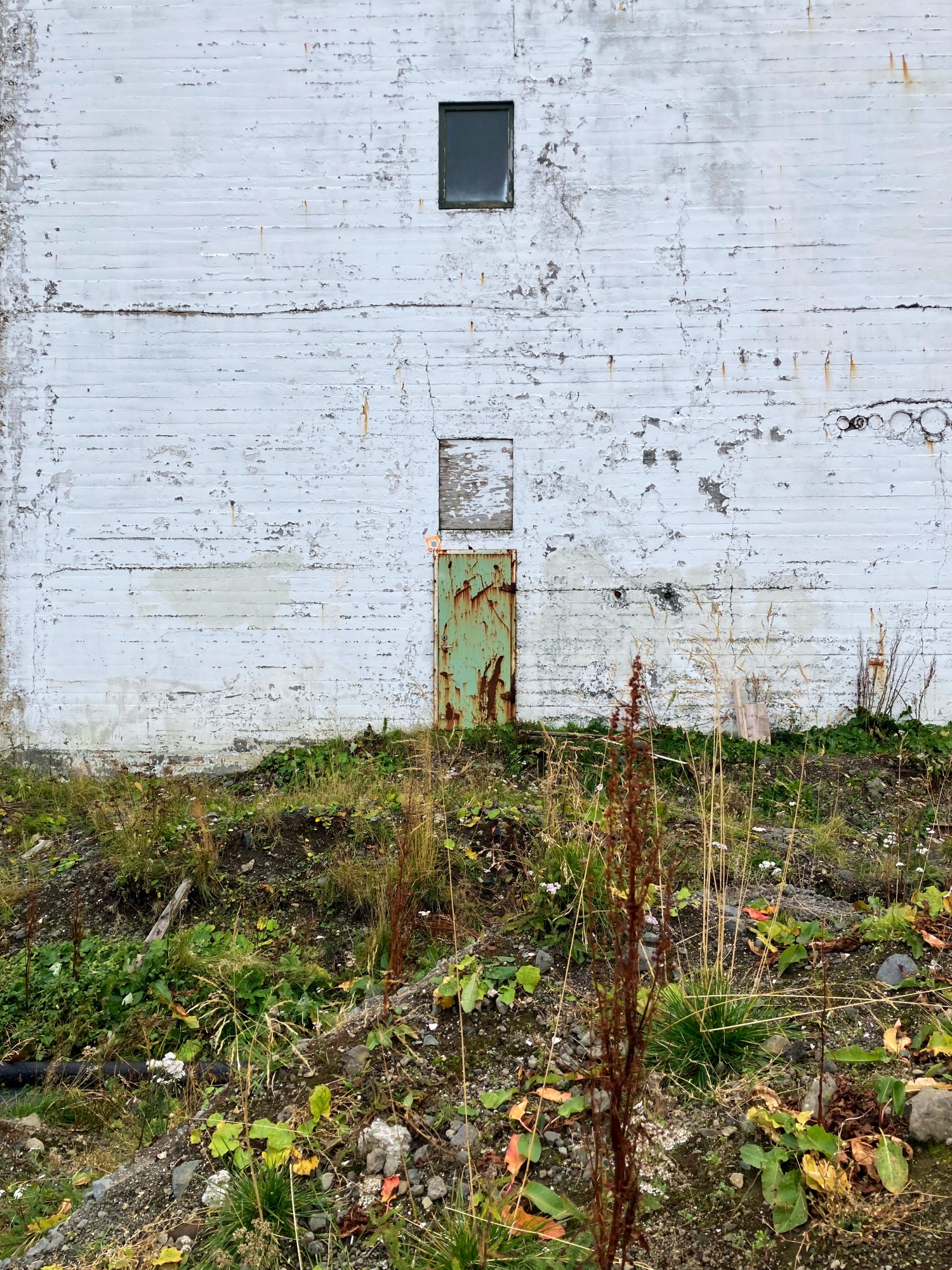A rusty green door on a run-down white building surrounded by plants and rocks