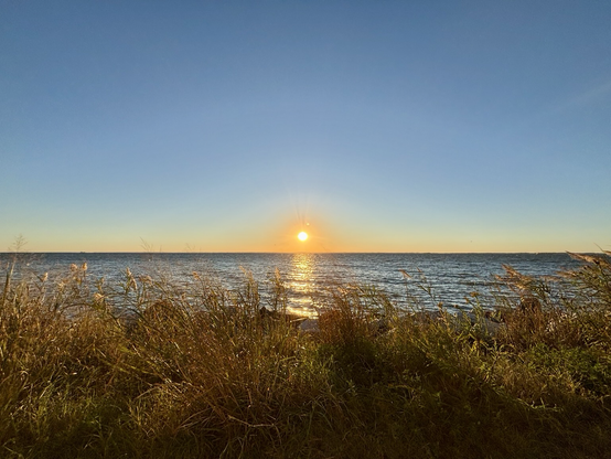A yellow sun setting over the blue waters of the Chesapeake Bay. Grasses blowing in the foreground.