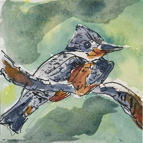 A blue-gray kingfisher with reddish orange neck and belly sitting on an S shaped branch against a green background.